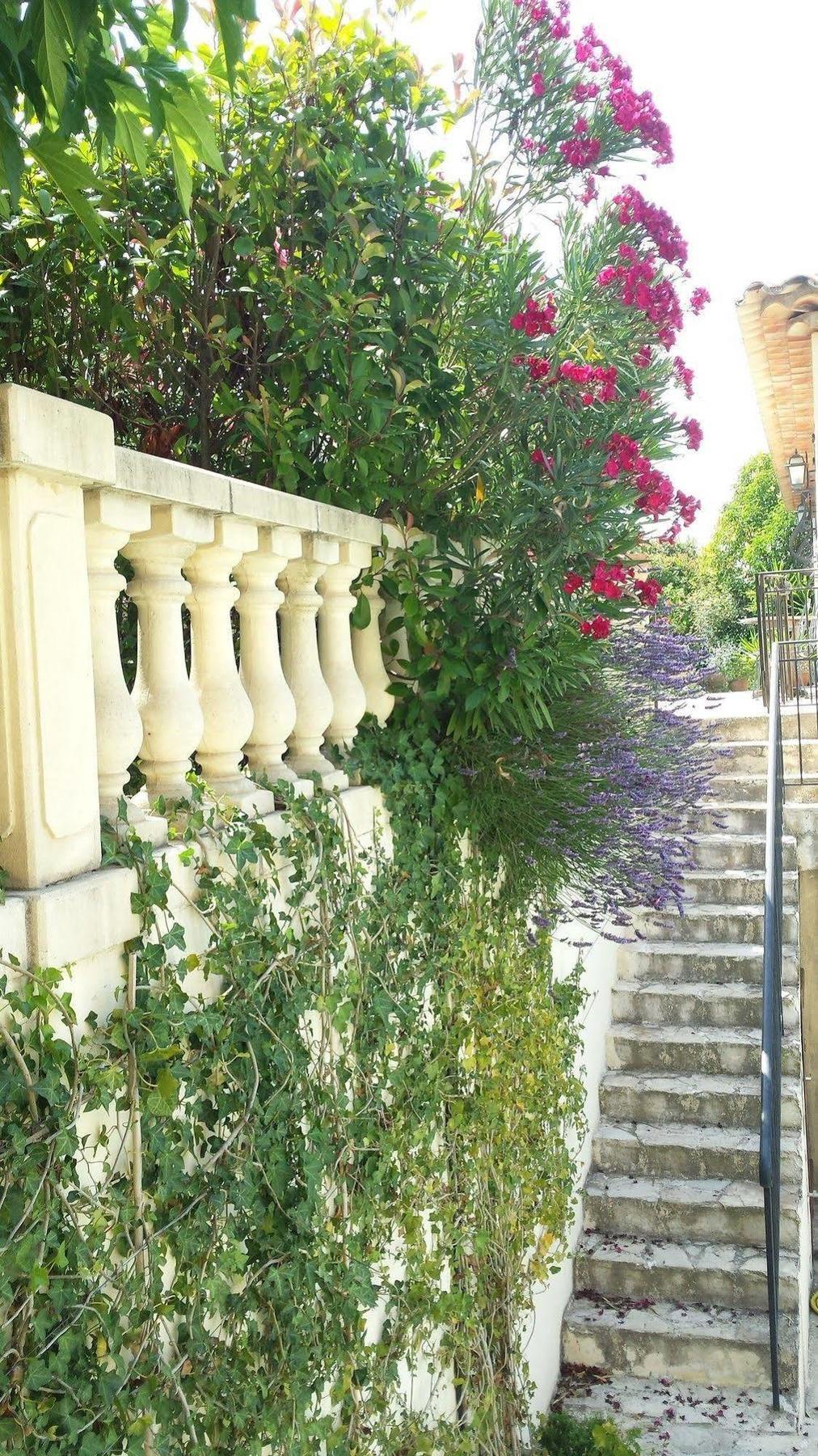 La Muse Du Paradis Montauroux Esterno foto